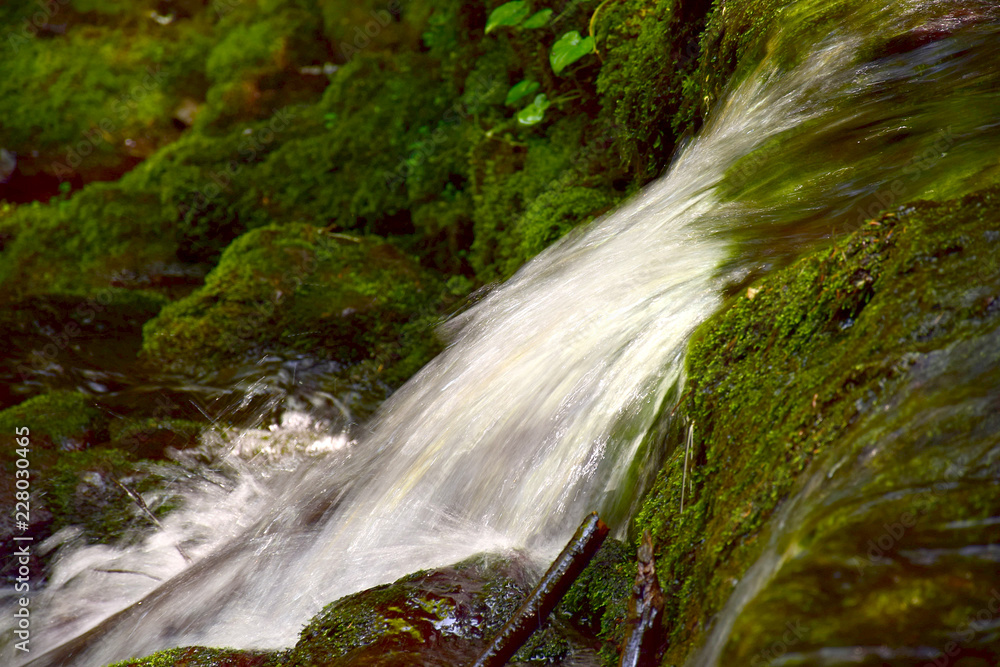 Obraz premium waterfall in forest