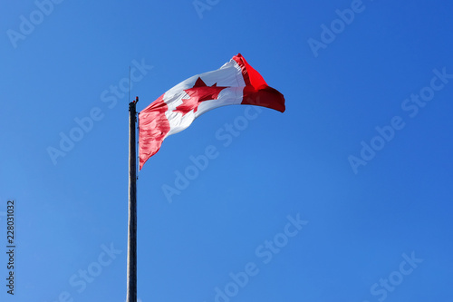 Canadian flag in blue sky background, fluttering in wind, sunny day