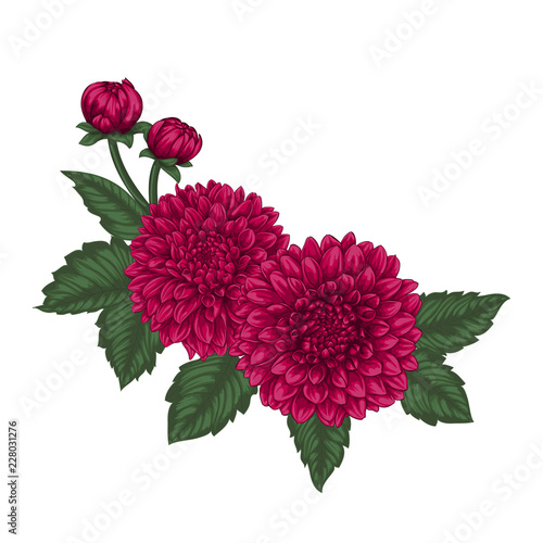 Fototapeta Naklejka Na Ścianę i Meble -  beautiful bouquet dahlias with the effect of a watercolor drawing isolated on background. design greeting card and invitation of the wedding, birthday, Valentine s Day, mother s day and other holiday