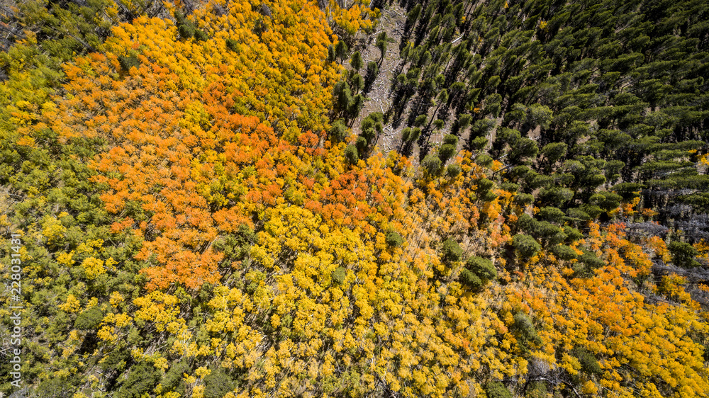 Fall in Colorado, overlooking the Breckenridge ski area and Boreas Pass Fall in Colorado, overlooking the Breckenridge ski area and Boreas Pass