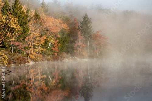 Misty autumn morning landscape. © Kelly Mercer