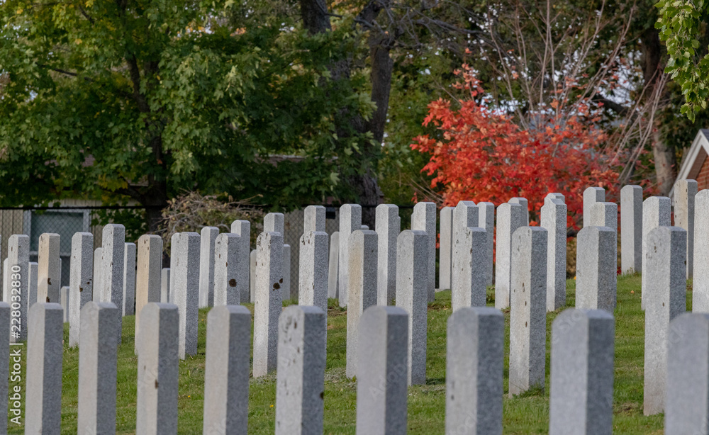 Military cemetery in autumn, Fort Massey, Halifax.
