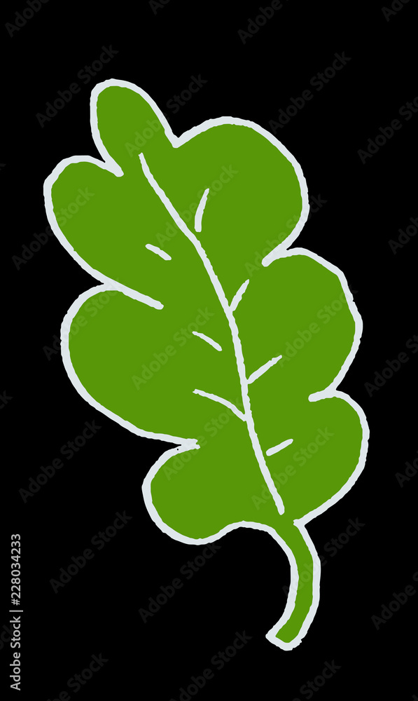 Illustration of a leaf of a plant or a tree Illustration of a leaf of a plant or a tree