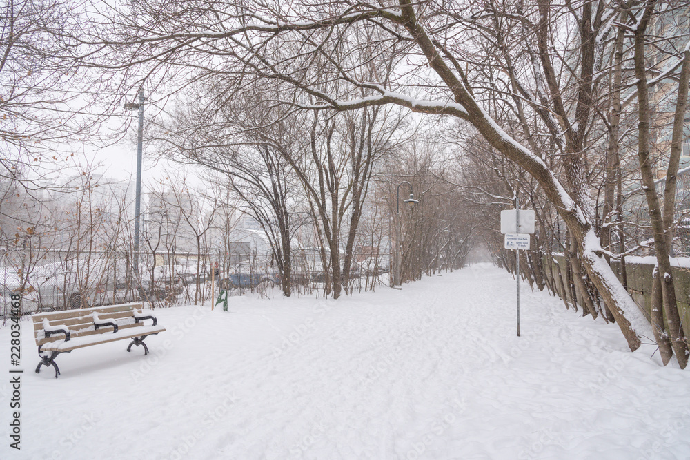 Fototapeta premium Winter snow storm in Toronto in February