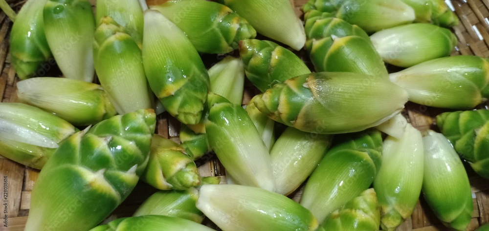 Green ginger is a popular herb in Thailand. Green ginger is a popular herb in Thailand.