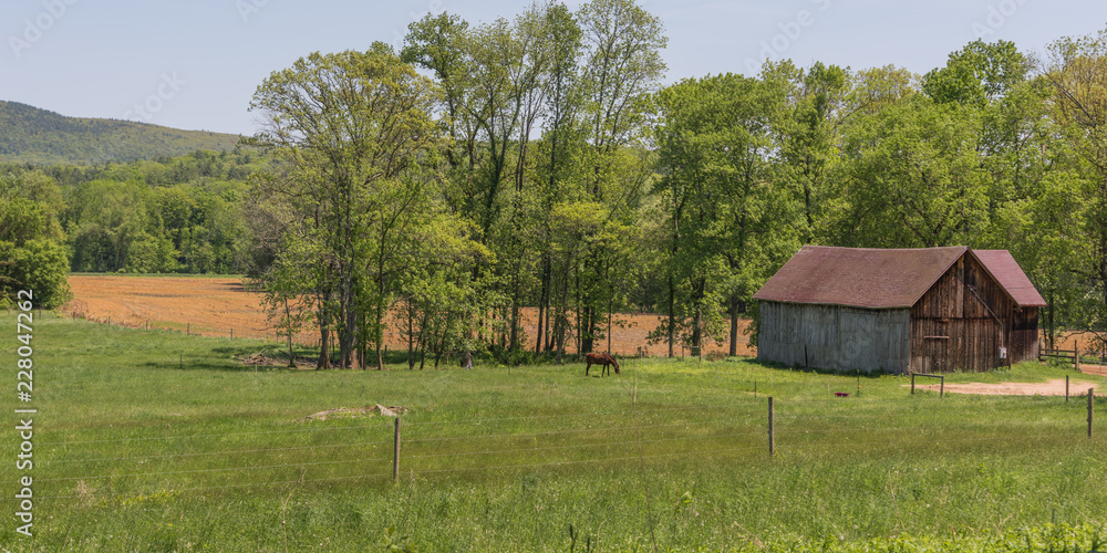 Traditional New England farm scene in springtime with barn and horse