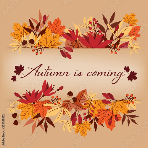 Autumn background with Autumn is coming text on autumn leaves frame.