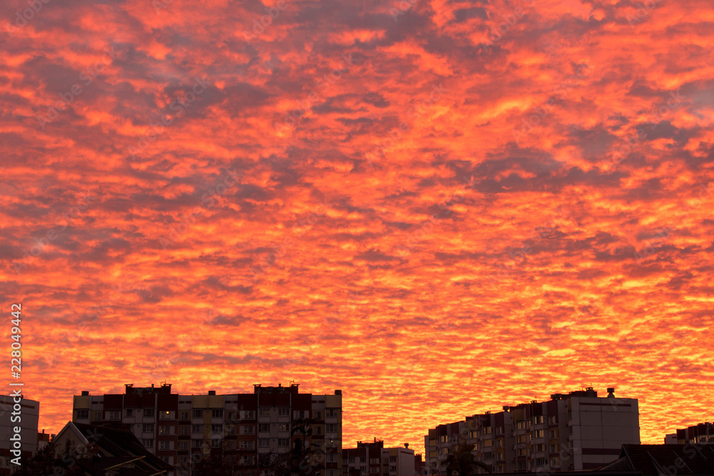 Fototapeta premium Beautiful crimson sunset . Purple cloudy sky