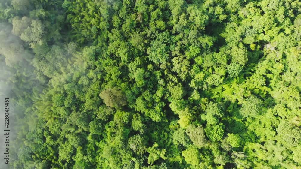 Landscape of Morning Mist with Mountain Layer at north of Thailand. Aerial View. Flying over the high mountains in beautiful clouds . Aerial camera shot. Landscape of Morning Mist with Mountain Layer at north of Thailand. Aerial View. Flying over the high mountains in beautiful clouds . Aerial camera shot.