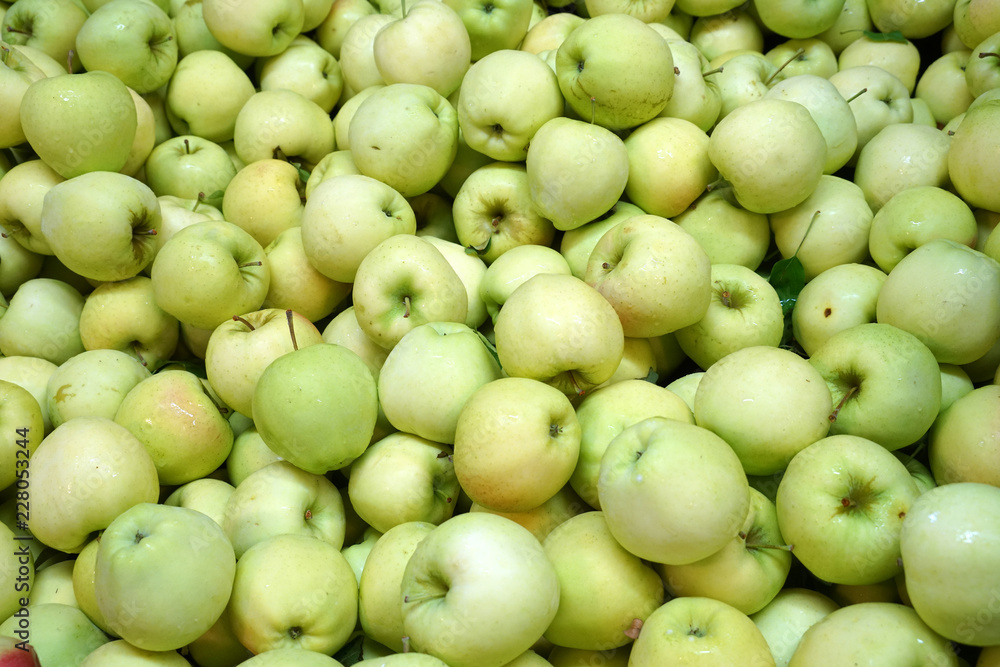 Fresh picked green ginger gold apples background in the harvest season Fresh picked green ginger gold apples background in the harvest season