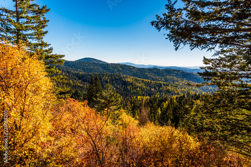 Fototapeta Naklejka Na Ścianę i Meble -  Autumn Scenery In Mount Spokane State Park, Spokane, Washington, USA
