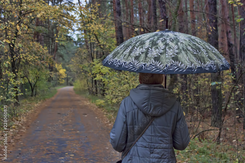 A woman under an umbrella goes along