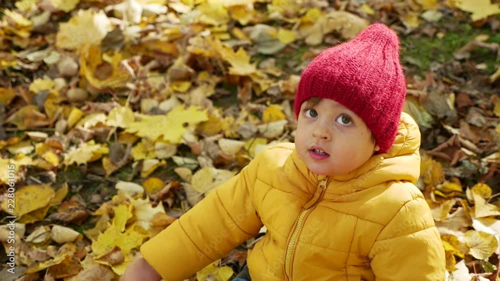 happy little boy playing in Park in autumn in orange leaves