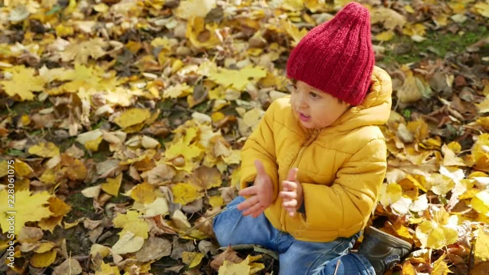 happy little boy playing in Park in autumn in orange leaves happy little boy playing in Park in autumn in orange leaves