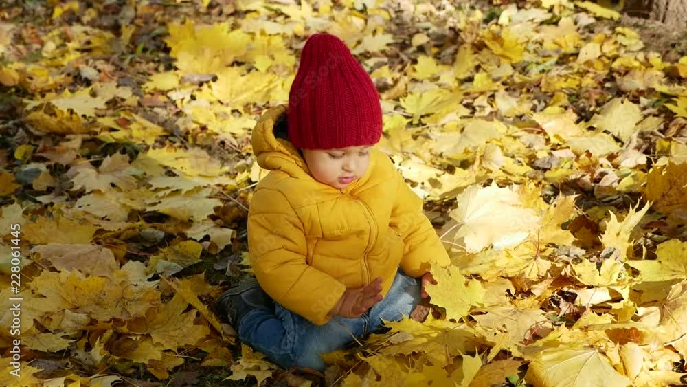 happy little boy playing in Park in autumn in orange leaves happy little boy playing in Park in autumn in orange leaves