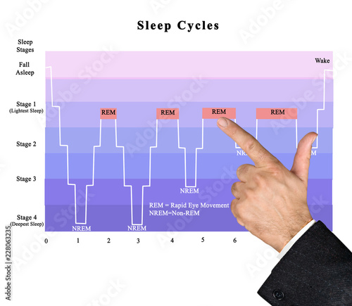 Obraz na płótnie Cycles of sleep