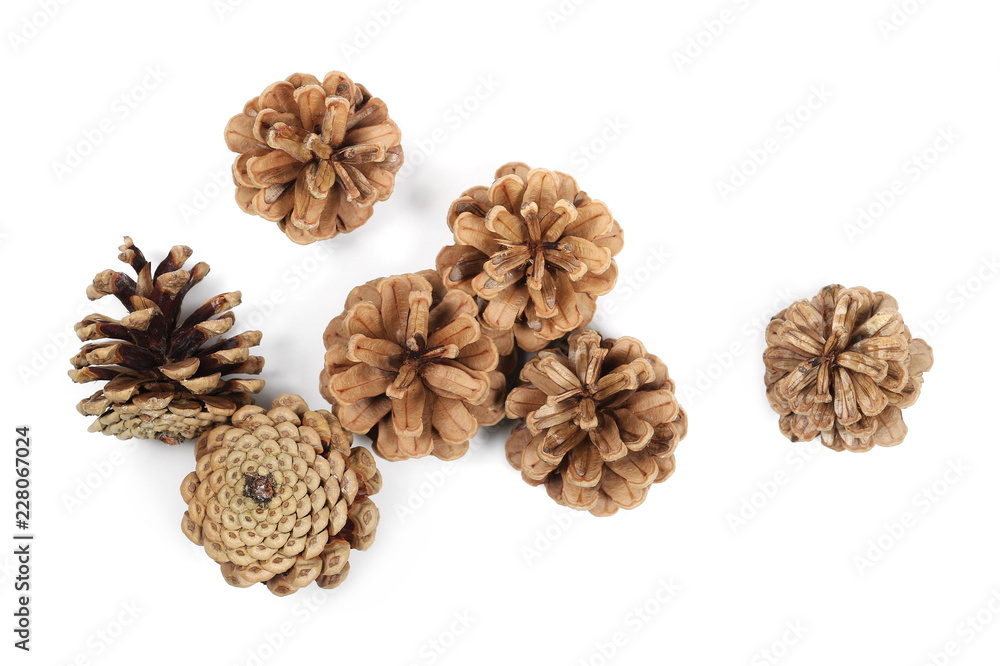 Pine cones isolated on white background, top view Pine cones isolated on white background, top view