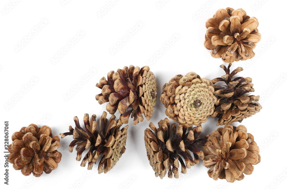 Pine cones isolated on white background, top view Pine cones isolated on white background, top view
