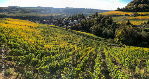 Картината върху платно Luxembourg moselle river vine region