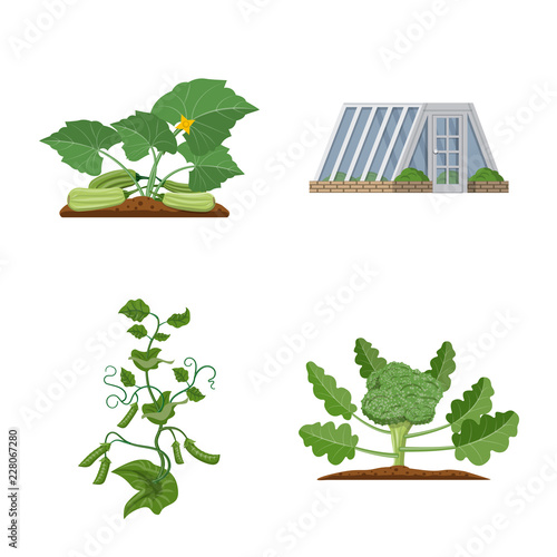 Vector design of greenhouse and plant symbol. Collection of greenhouse and garden stock symbol for web.
