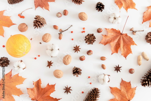 Autumn composition. Pattern made of orange leaves, cotton flowers, pine cone, anise star, berries, nuts on white background. Autumn, fall concept. Flat lay, top view, copy space 