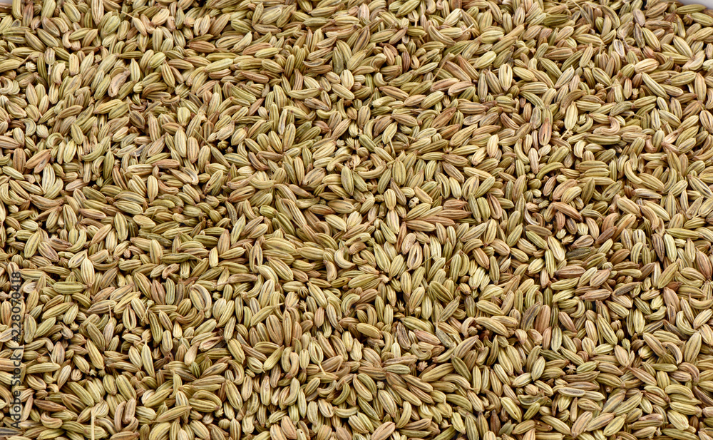 Fennel Seeds (Saunf), A hardy, perennial herb's seed famously know as saunf and an important ingredient of kitchen.