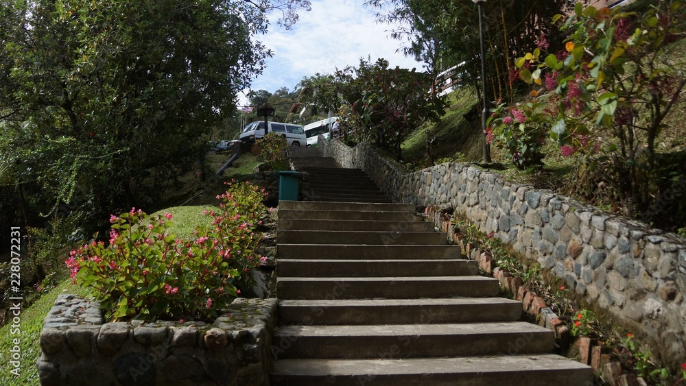 lush greenery of Mount Kinabalu National Park UNESCO World Heritage Site