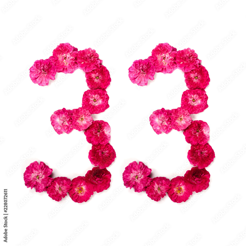 number 33 from flowers of a red and pink rose on a white background. Typographical element for design. Flower numbers, date, isolate, isolated