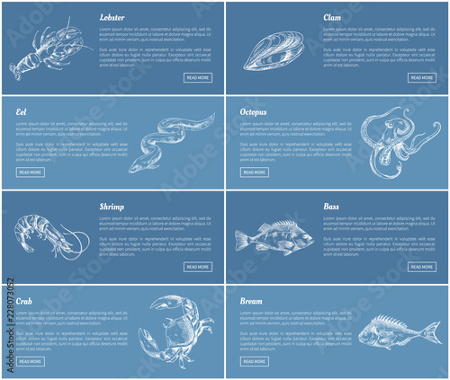 Lobster Bass Fish Posters Set Vector Illustration