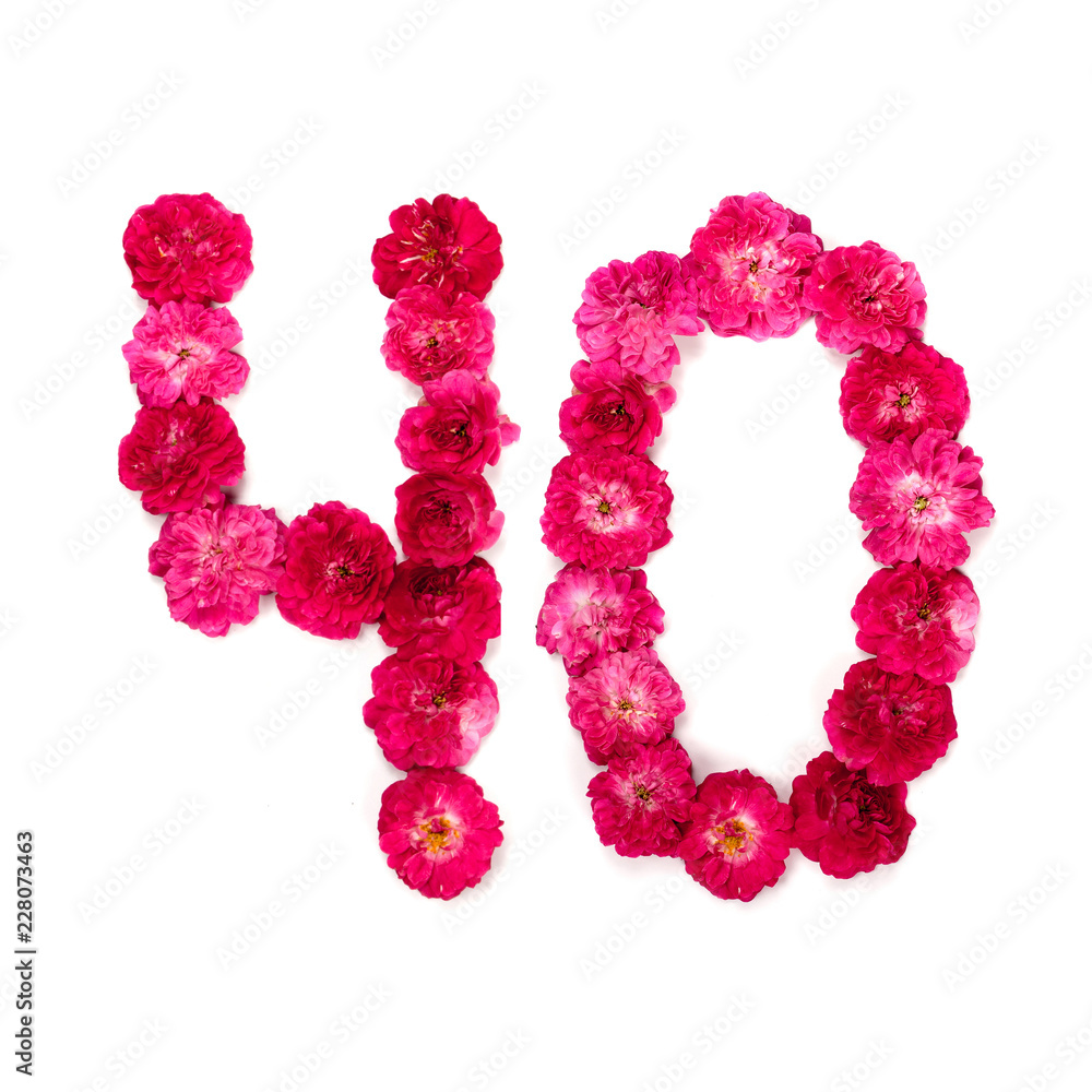 number 40 from flowers of a red and pink rose on a white background. Typographical element for design. Flower numbers, date, isolate, isolated number 40 from flowers of a red and pink rose on a white background. Typographical element for design. Flower numbers, date, isolate, isolated