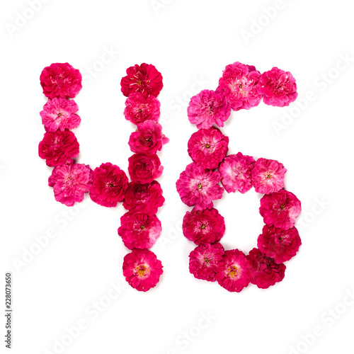 number 46 from flowers of a red and pink rose on a white background. Typographical element for design. Flower numbers, date, isolate, isolated