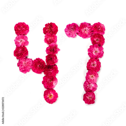 number 47 from flowers of a red and pink rose on a white background. Typographical element for design. Flower numbers, date, isolate, isolated
