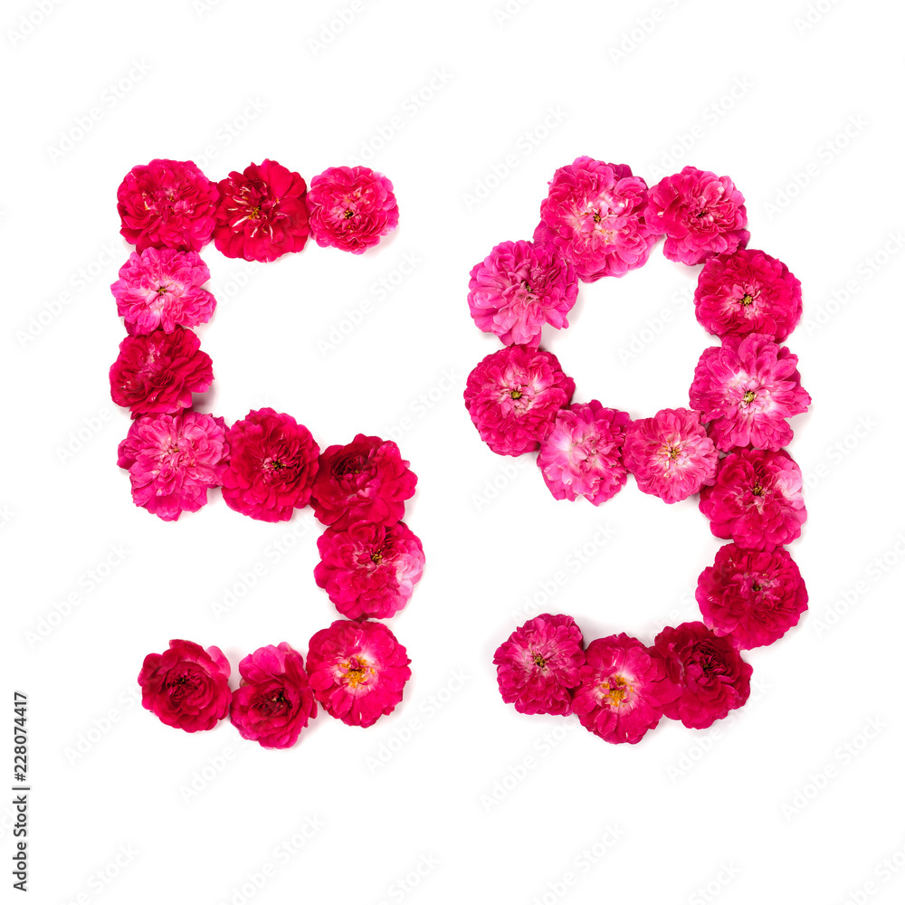 number 59 from flowers of a red and pink rose on a white background. Typographical element for design. Flower numbers, date, isolate, isolated number 59 from flowers of a red and pink rose on a white background. Typographical element for design. Flower numbers, date, isolate, isolated