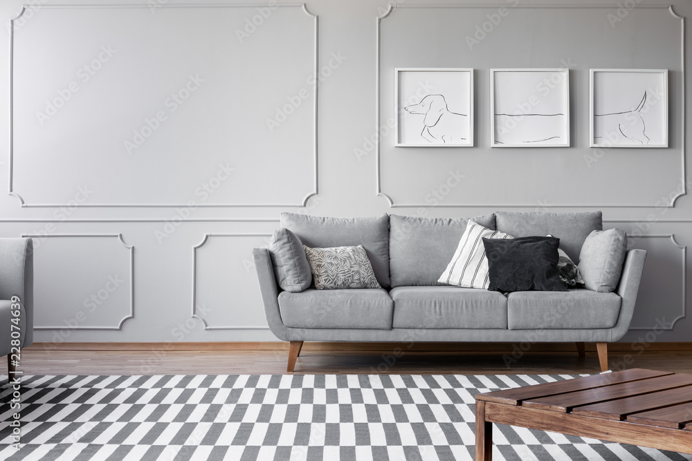 Dog's posters on the grey wall of bright living room with comfortable grey couch with pillows, real photo with copy space Dog's posters on the grey wall of bright living room with comfortable grey couch with pillows, real photo with copy space