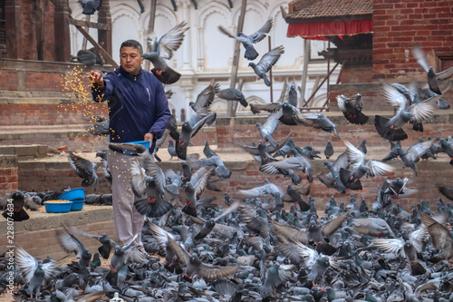 Kathmandu, Nepal - Circa May: A guy feeding flock of pigeons in the morning at Kathmandu Durbar Square