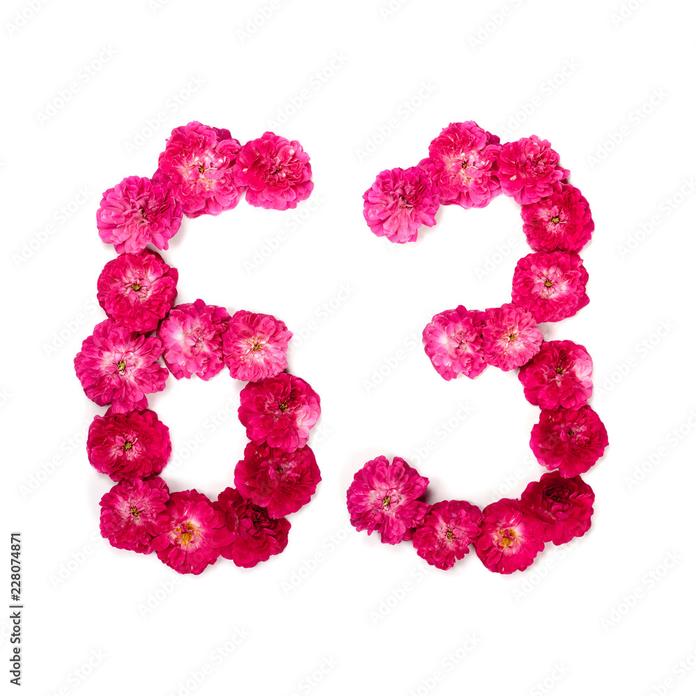 number 63 from flowers of a red and pink rose on a white background. Typographical element for design. Flower numbers, date, isolate, isolated