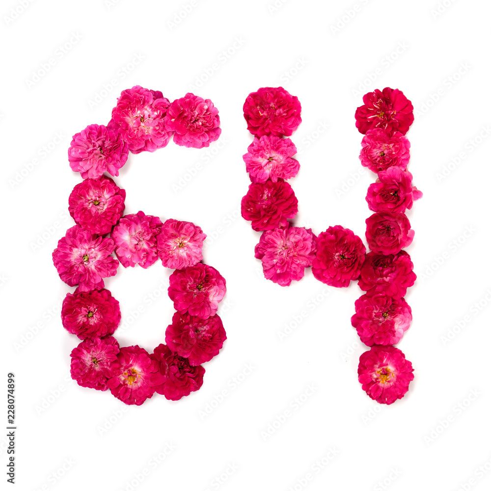 number 64 from flowers of a red and pink rose on a white background. Typographical element for design. Flower numbers, date, isolate, isolated number 64 from flowers of a red and pink rose on a white background. Typographical element for design. Flower numbers, date, isolate, isolated