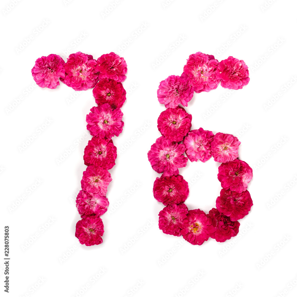 number 76 from flowers of a red and pink rose on a white background. Typographical element for design. Flower numbers, date, isolate, isolated number 76 from flowers of a red and pink rose on a white background. Typographical element for design. Flower numbers, date, isolate, isolated