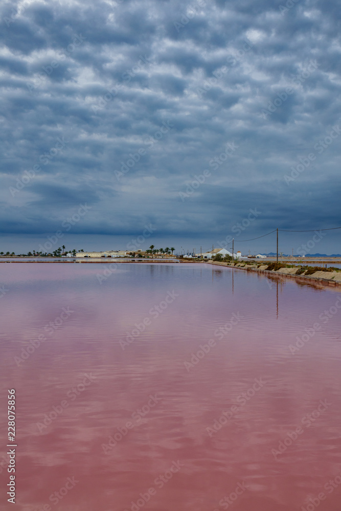 Pink salt pool at sunrise with dark cloudscape
