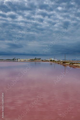 Pink salt pool at sunrise with dark cloudscape