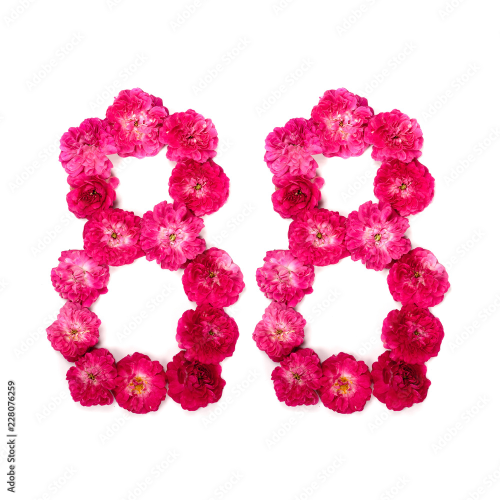 number 88 from flowers of a red and pink rose on a white background. Typographical element for design. Flower numbers, date, isolate, isolated number 88 from flowers of a red and pink rose on a white background. Typographical element for design. Flower numbers, date, isolate, isolated