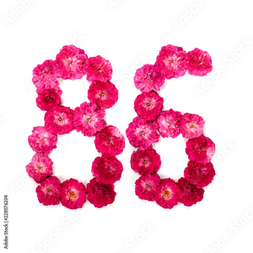number 86 from flowers of a red and pink rose on a white background. Typographical element for design. Flower numbers, date, isolate, isolated