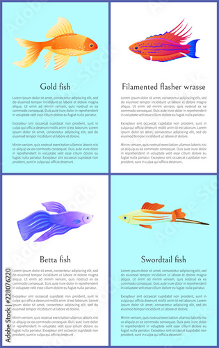 Gold Betta and Swordtail Fishes Colorful Banners
