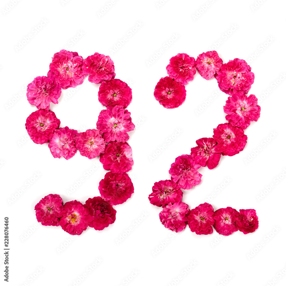 number 92 from flowers of a red and pink rose on a white background. Typographical element for design. Flower numbers, date, isolate, isolated number 92 from flowers of a red and pink rose on a white background. Typographical element for design. Flower numbers, date, isolate, isolated