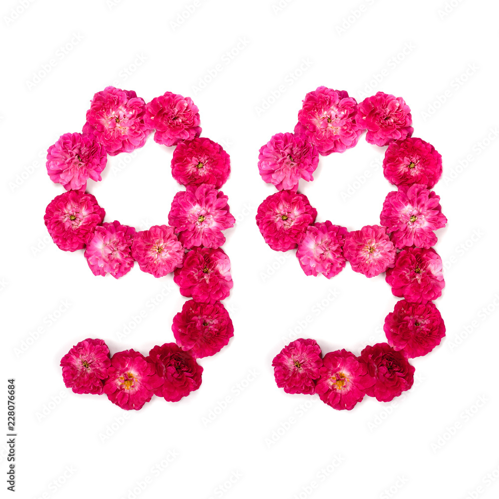 number 99 from flowers of a red and pink rose on a white background. Typographical element for design. Flower numbers, date, isolate, isolated number 99 from flowers of a red and pink rose on a white background. Typographical element for design. Flower numbers, date, isolate, isolated