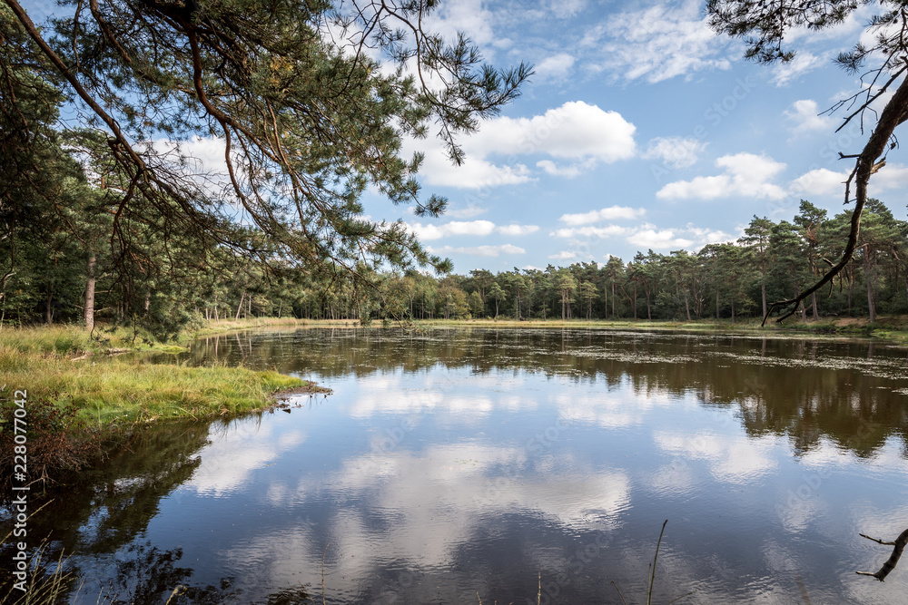 Fototapeta premium Lake with clouds