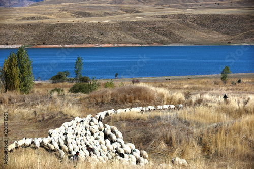 Sivas lakes, Tödürge and imranlı