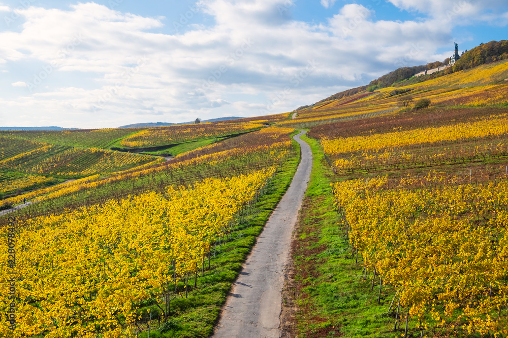 Weinberge im Herbst und die Germania im Hintergrund