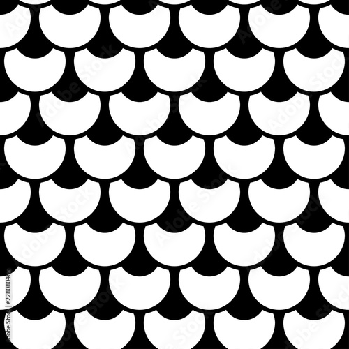 Black and white fish scale