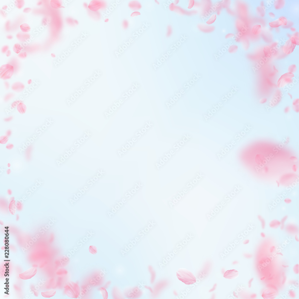 Sakura petals falling down. Romantic pink flowers vignette. Flying petals on blue sky square backgro Sakura petals falling down. Romantic pink flowers vignette. Flying petals on blue sky square backgro